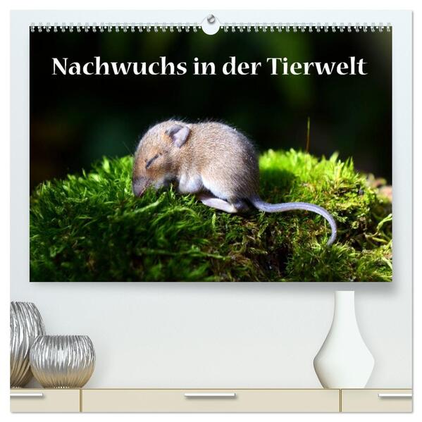 Nachwuchs in der Tierwelt (hochwertiger Premium Wandkalender 2026 DIN A2 quer) Kunstdruck in Hochglanz