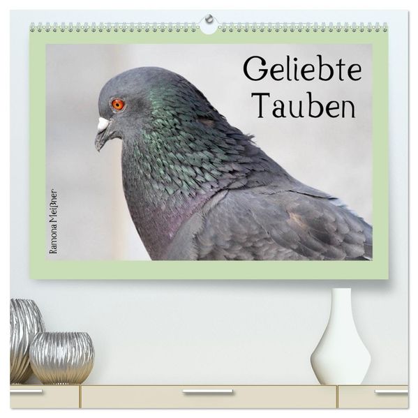 Geliebte Tauben (hochwertiger Premium Wandkalender 2026 DIN A2 quer) Kunstdruck in Hochglanz