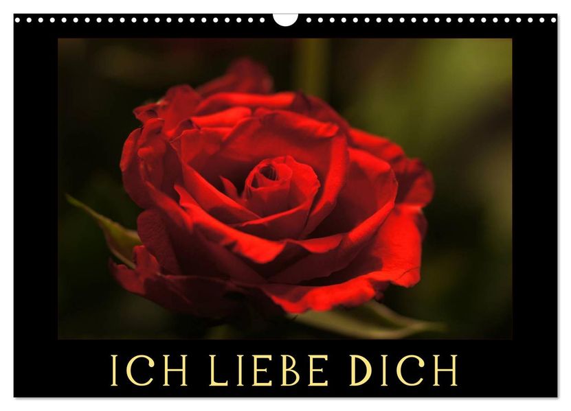 Ich liebe Dich (Wandkalender 2026 DIN A3 quer) CALVENDO Monatskalender