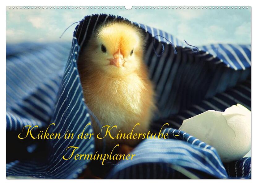 Küken in der Kinderstube Terminplaner (Wandkalender 2026 DIN A2 quer) CALVENDO Monatskalender