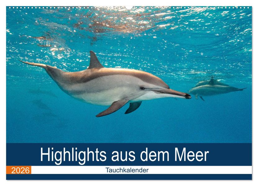 Highlights aus dem Meer - Tauchkalender (Wandkalender 2026 DIN A2 quer) CALVENDO Monatskalender