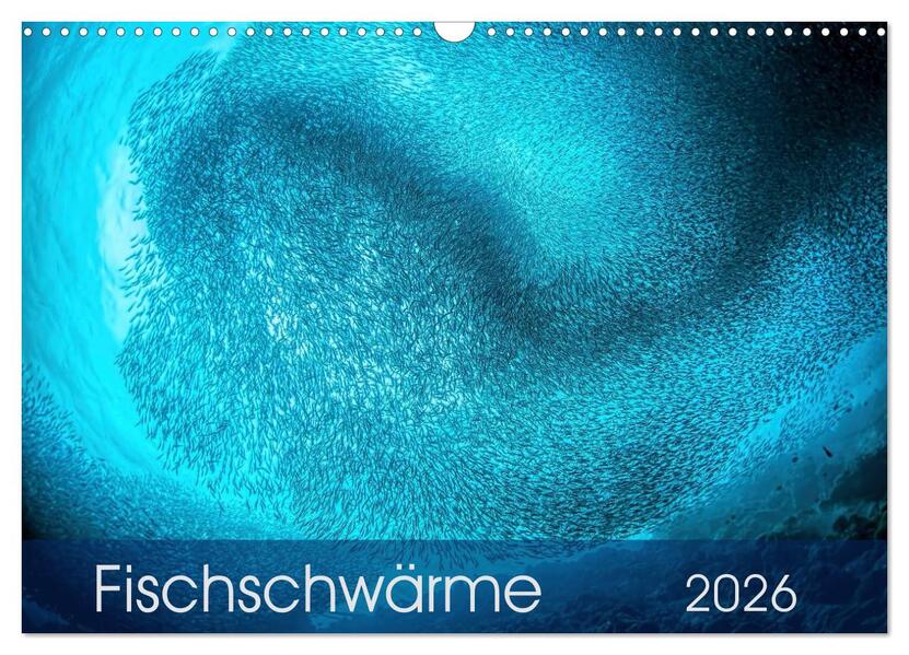 Fischschwärme (Wandkalender 2026 DIN A3 quer) CALVENDO Monatskalender