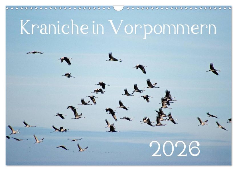 Kraniche in Vorpommern (Wandkalender 2026 DIN A3 quer) CALVENDO Monatskalender