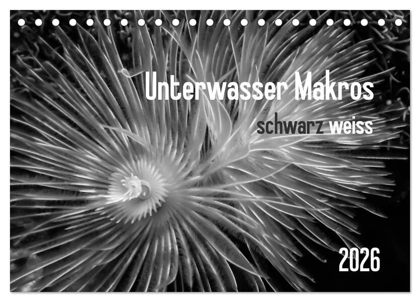 Unterwasser Makros - schwarz weiss 2026 (Tischkalender 2026 DIN A5 quer) CALVENDO Monatskalender