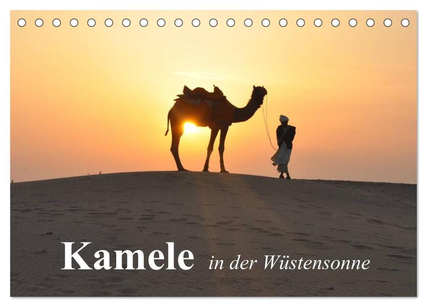 Kamele in der Wüstensonne (Tischkalender 2026 DIN A5 quer) CALVENDO Monatskalender