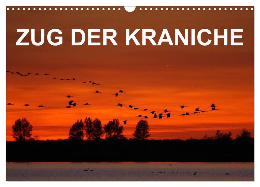 Zug der Kraniche (Wandkalender 2026 DIN A3 quer) CALVENDO Monatskalender
