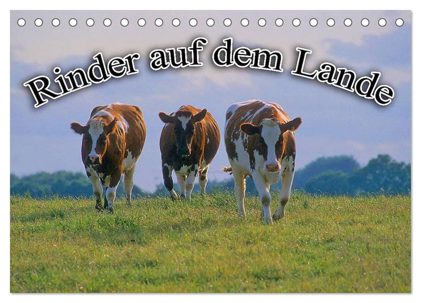 Rinder auf dem Lande (Tischkalender 2026 DIN A5 quer) CALVENDO Monatskalender