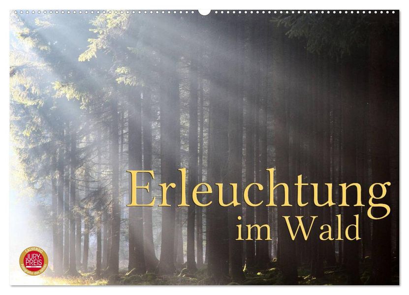 Erleuchtung im Wald (Wandkalender 2026 DIN A2 quer) CALVENDO Monatskalender
