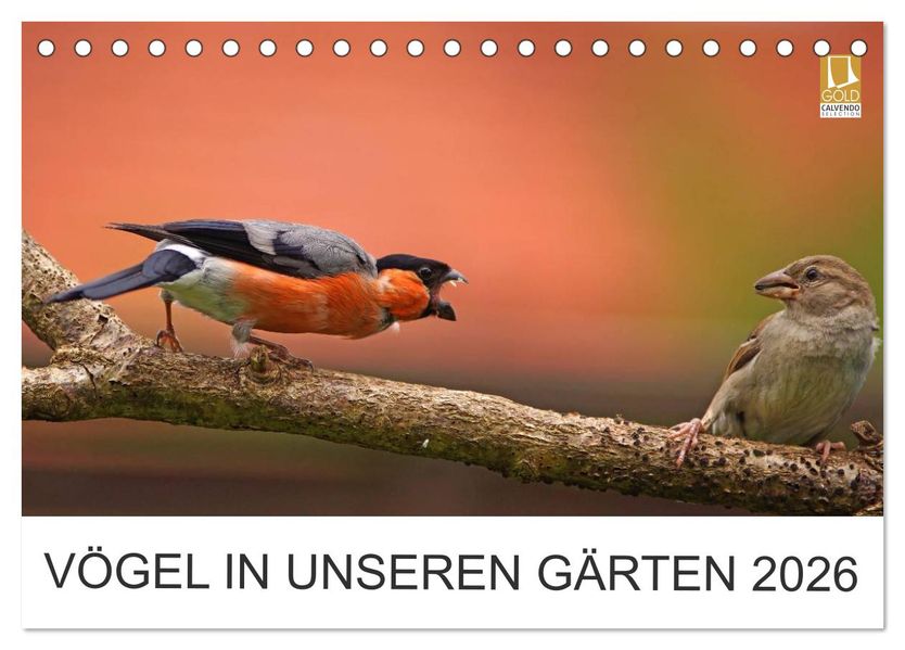 Vögel in unseren Gärten 2026 (Tischkalender 2026 DIN A5 quer) CALVENDO Monatskalender