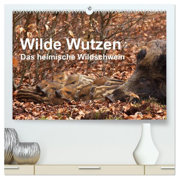 Wilde Wutzen. Das heimische Wildschwein (hochwertiger Premium Wandkalender 2026 DIN A2 quer) Kunstdruck in Hochglanz