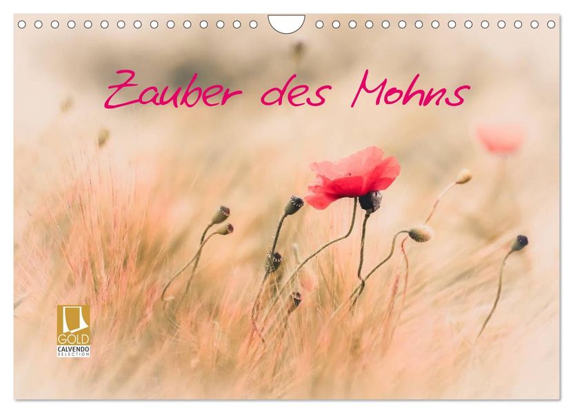Zauber des Mohns (Wandkalender 2026 DIN A4 quer) CALVENDO Monatskalender