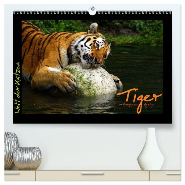 Welt der Katzen - Tiger (hochwertiger Premium Wandkalender 2026 DIN A2 quer) Kunstdruck in Hochglanz