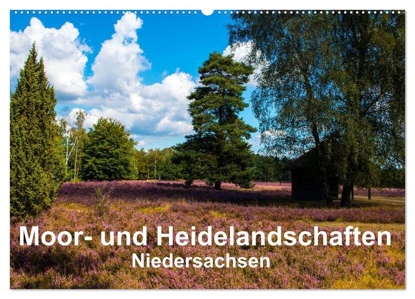 Moor- und Heidelandschaften Niedersachsen (Wandkalender 2026 DIN A2 quer) CALVENDO Monatskalender