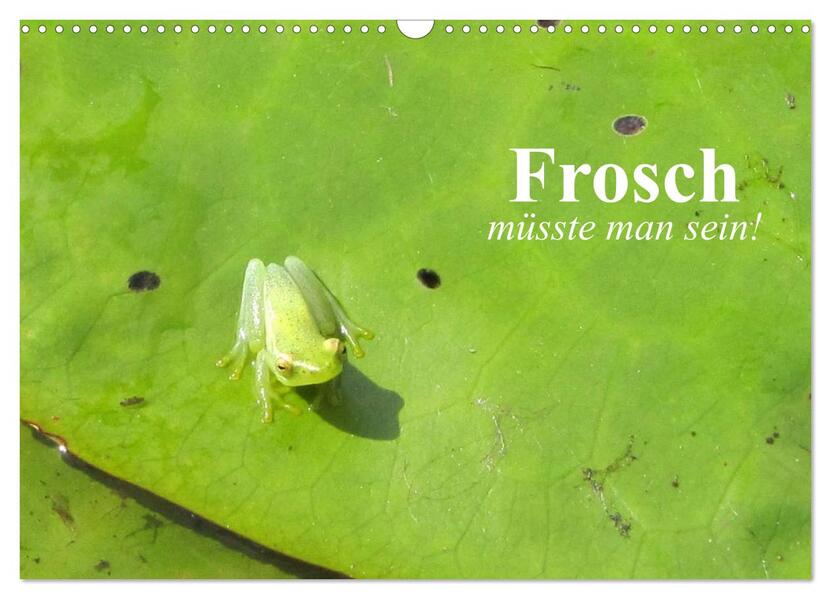 Frosch müsste man sein! (Wandkalender 2026 DIN A3 quer) CALVENDO Monatskalender