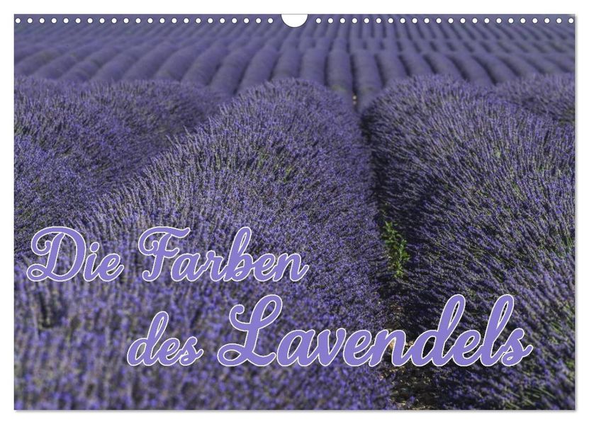Die Farbe des Lavendels (Wandkalender 2026 DIN A3 quer) CALVENDO Monatskalender