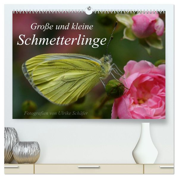 Große und kleine Schmetterlinge (hochwertiger Premium Wandkalender 2026 DIN A2 quer) Kunstdruck in Hochglanz