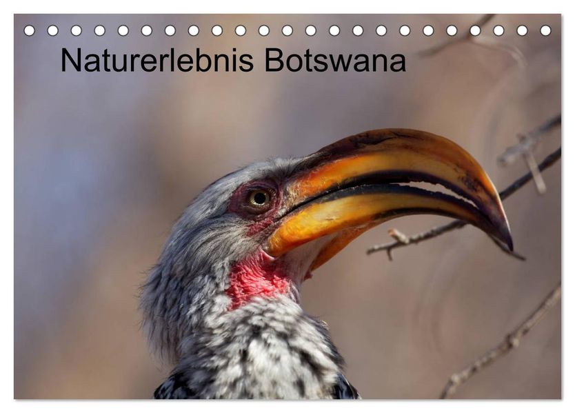 Naturerlebnis Botswana (Tischkalender 2026 DIN A5 quer) CALVENDO Monatskalender