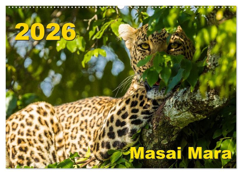 Masai Mara 2026 (Wandkalender 2026 DIN A2 quer) CALVENDO Monatskalender