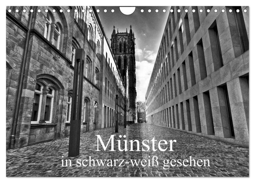 Münster in schwarz-weiß gesehen (Wandkalender 2026 DIN A4 quer) CALVENDO Monatskalender