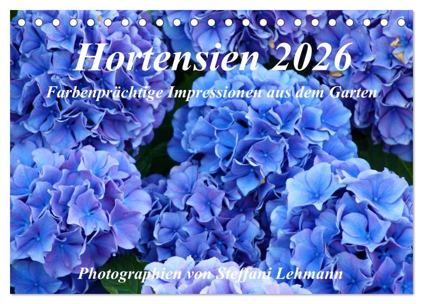 Hortensien 2026. Farbenprächtige Impressionen aus dem Garten (Tischkalender 2026 DIN A5 quer) CALVENDO Monatskalender