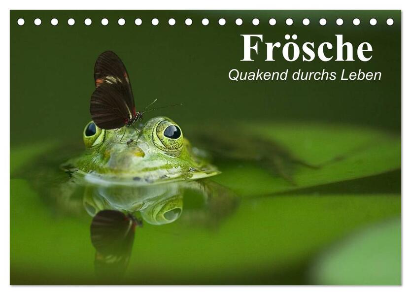 Frösche. Quakend durchs Leben (Tischkalender 2026 DIN A5 quer) CALVENDO Monatskalender