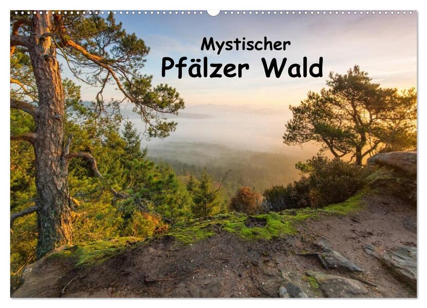 Mystischer Pfälzer Wald (Wandkalender 2026 DIN A2 quer) CALVENDO Monatskalender