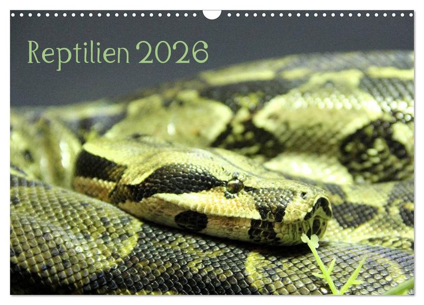 Reptilien 2026 (Wandkalender 2026 DIN A3 quer) CALVENDO Monatskalender