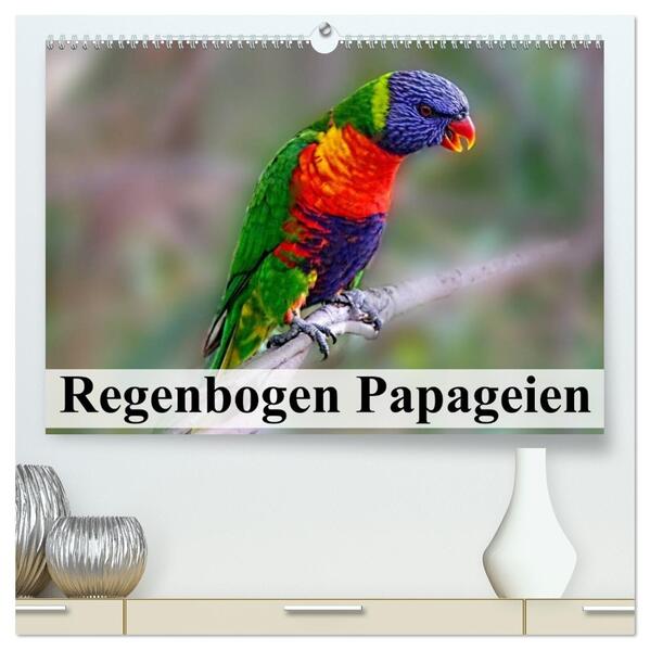Regenbogen Papageien (hochwertiger Premium Wandkalender 2026 DIN A2 quer) Kunstdruck in Hochglanz
