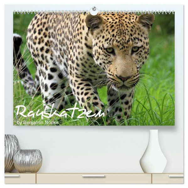 Raubkatzen (hochwertiger Premium Wandkalender 2026 DIN A2 quer) Kunstdruck in Hochglanz