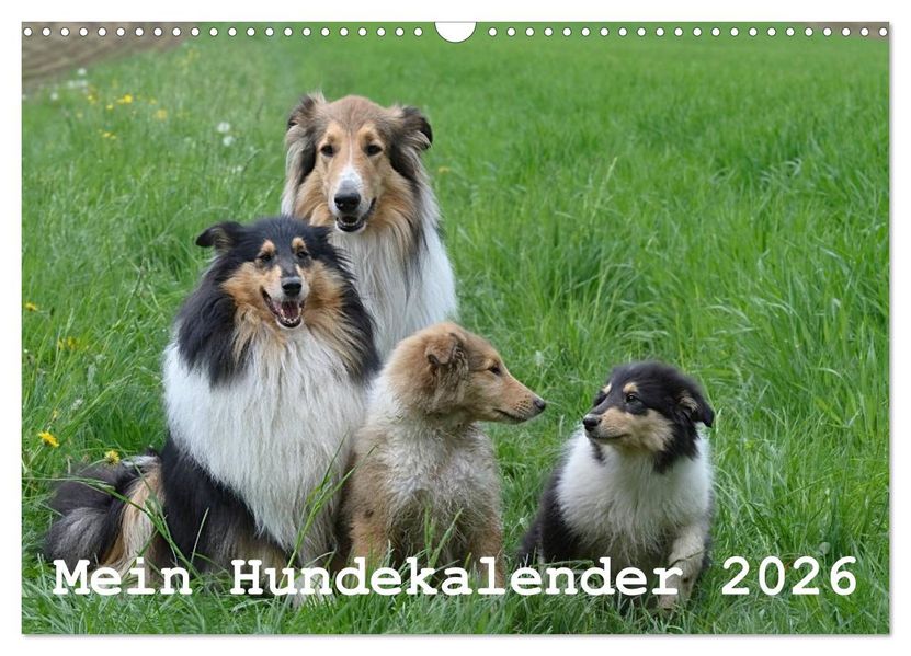 Mein Hundekalender 2026 (Wandkalender 2026 DIN A3 quer) CALVENDO Monatskalender