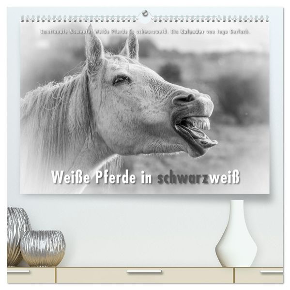 Emotionale Momente: Weiße Pferde in schwarzweiß. (hochwertiger Premium Wandkalender 2026 DIN A2 quer) Kunstdruck in Hochglanz