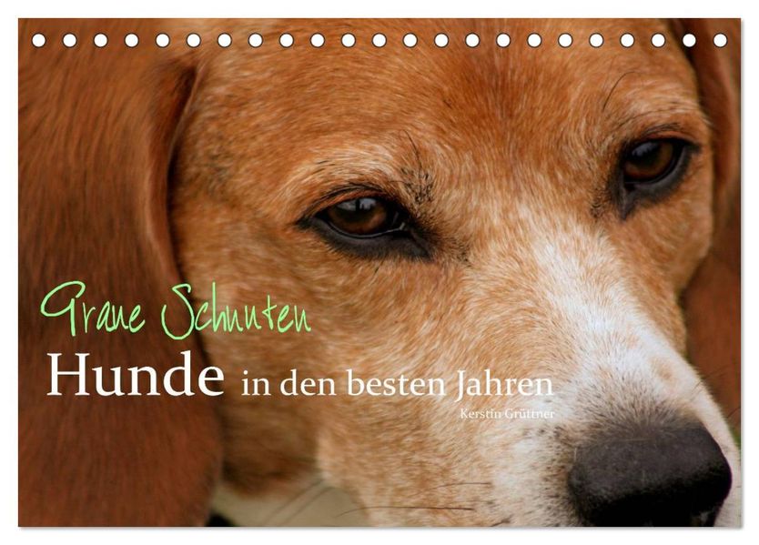 Graue Schnuten - Hunde in den besten Jahren (Tischkalender 2026 DIN A5 quer) CALVENDO Monatskalender