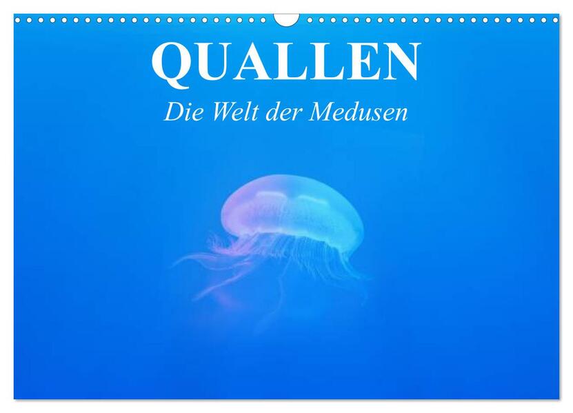 Quallen. Die Welt der Medusen (Wandkalender 2026 DIN A3 quer) CALVENDO Monatskalender