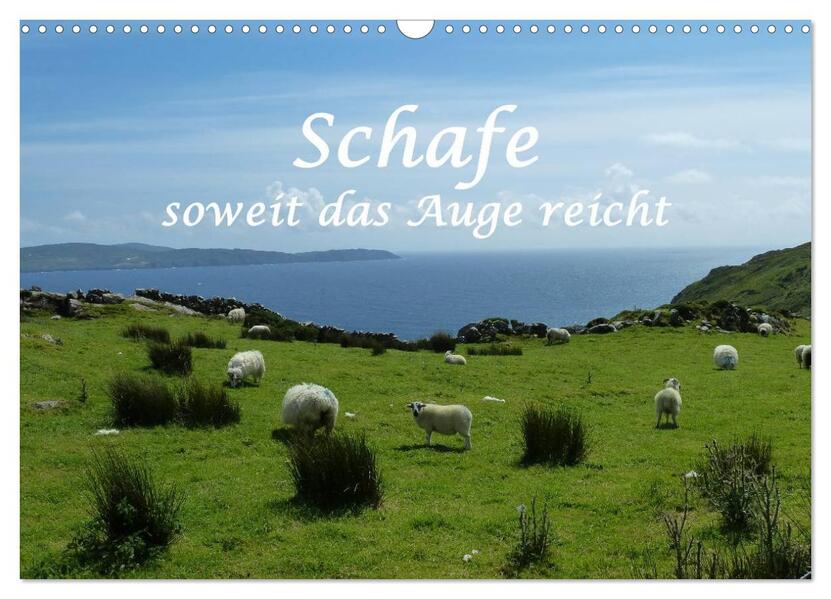 Schafe - soweit das Auge reicht (Wandkalender 2026 DIN A3 quer) CALVENDO Monatskalender