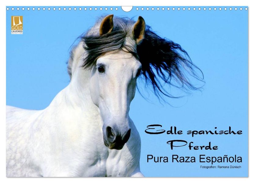 Edle spanische Pferde - Pura Raza Espanola (Wandkalender 2026 DIN A3 quer) CALVENDO Monatskalender