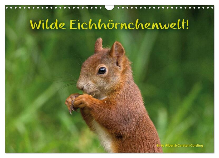 Wilde Eichhörnchenwelt! (Wandkalender 2026 DIN A3 quer) CALVENDO Monatskalender