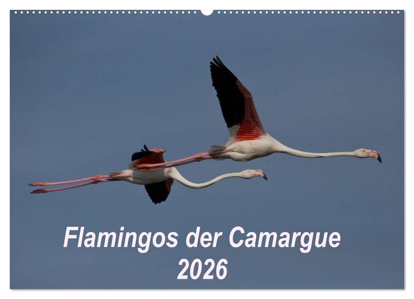 Flamingos der Camargue 2026 (Wandkalender 2026 DIN A2 quer) CALVENDO Monatskalender