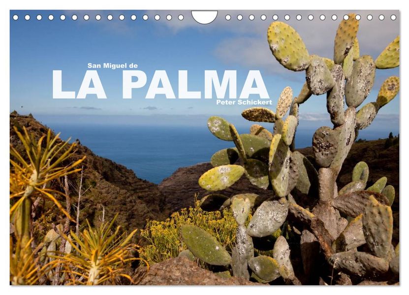 San Miguel de la Palma (Wandkalender 2026 DIN A4 quer) CALVENDO Monatskalender