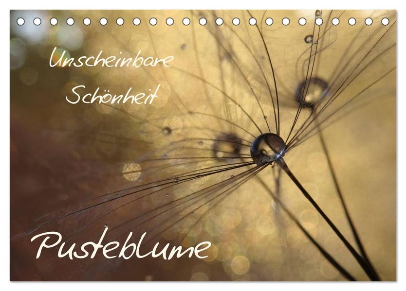 Unscheinbare Schönheit - Pusteblume (Tischkalender 2026 DIN A5 quer) CALVENDO Monatskalender