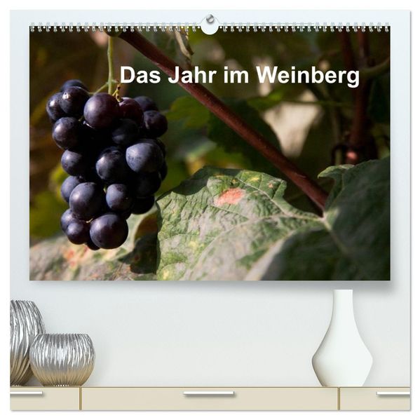 Das Jahr im Weinberg (hochwertiger Premium Wandkalender 2026 DIN A2 quer) Kunstdruck in Hochglanz