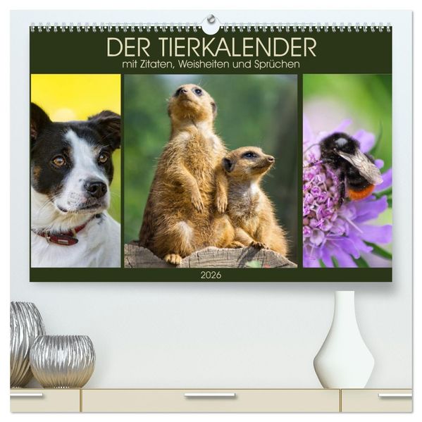 Der Tierkalender mit Zitaten Weisheiten und Sprüchen (hochwertiger Premium Wandkalender 2026 DIN A2 quer) Kunstdruck in Hochglanz