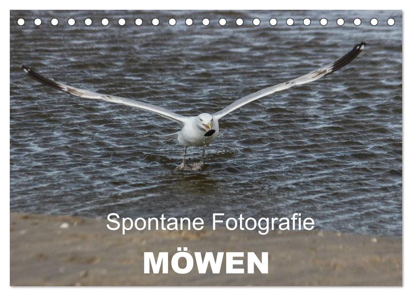 Spontane Fotografie - Möwen (Tischkalender 2026 DIN A5 quer) CALVENDO Monatskalender