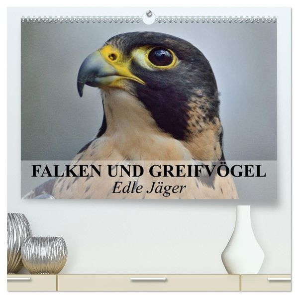 Falken und Greifvögel. Edle Jäger (hochwertiger Premium Wandkalender 2026 DIN A2 quer) Kunstdruck in Hochglanz