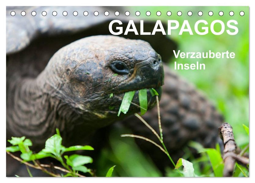 Galapagos. Verzauberte Inseln (Tischkalender 2026 DIN A5 quer) CALVENDO Monatskalender