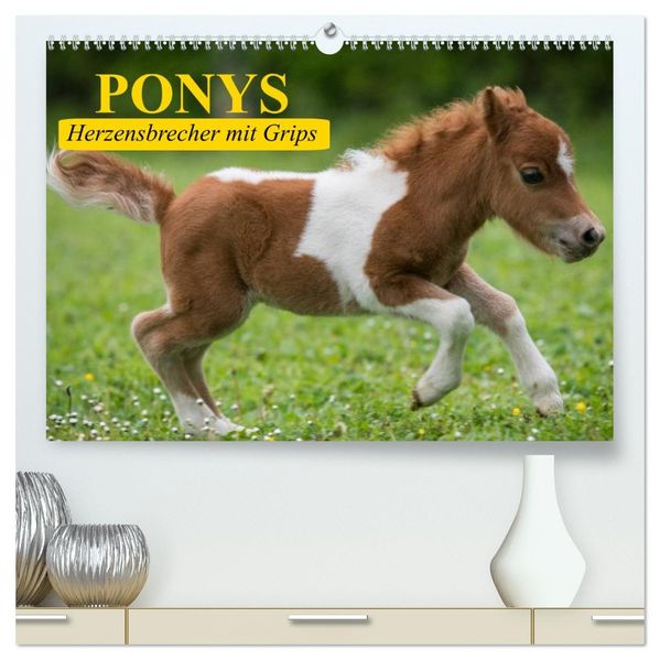 Ponys. Herzensbrecher mit Grips (hochwertiger Premium Wandkalender 2026 DIN A2 quer) Kunstdruck in Hochglanz