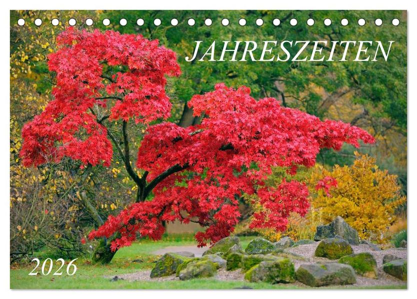 Jahreszeiten / 2026 (Tischkalender 2026 DIN A5 quer) CALVENDO Monatskalender
