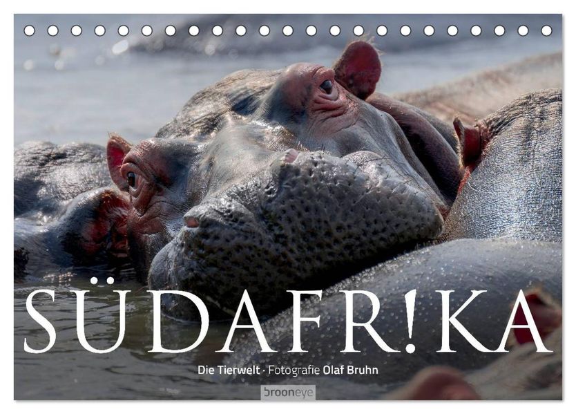 Südafrika - Die Tierwelt (Tischkalender 2026 DIN A5 quer) CALVENDO Monatskalender
