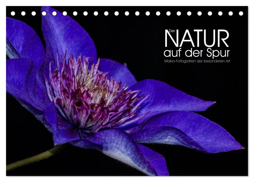 Der Natur auf der Spur - Makro-Fotografien der besonderen Art (Tischkalender 2026 DIN A5 quer) CALVENDO Monatskalender