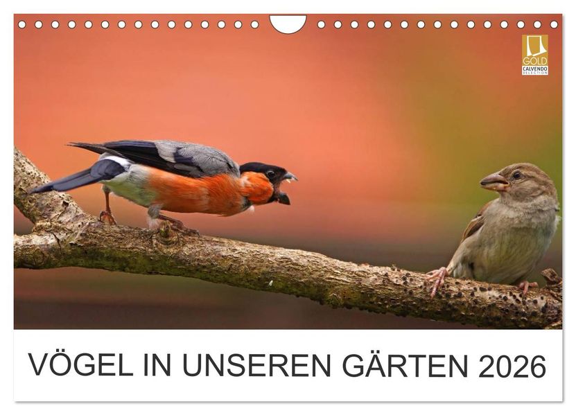 Vögel in unseren Gärten 2026 (Wandkalender 2026 DIN A4 quer) CALVENDO Monatskalender