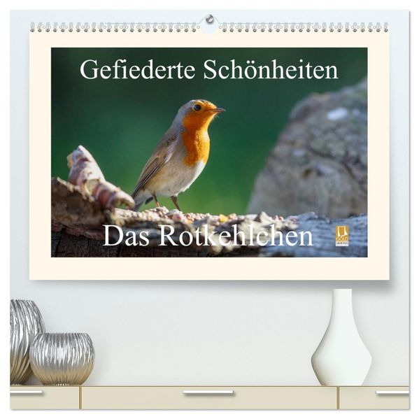 Gefiederte Schönheiten - Das Rotkehlchen (hochwertiger Premium Wandkalender 2026 DIN A2 quer) Kunstdruck in Hochglanz